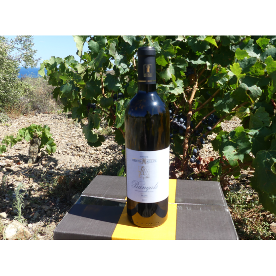 Domaine Berta-Maillol...