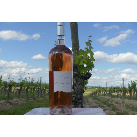 Domaine des Brosses, rosé...