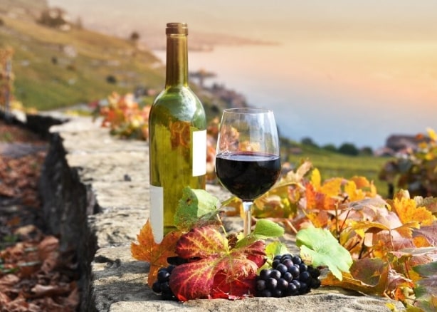 La meilleure sélection de vins !